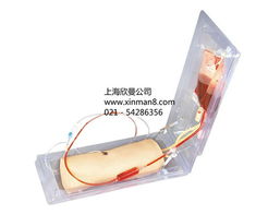 高級肘部靜脈穿刺訓練模型——醫(yī)療護理實訓的關(guān)鍵工具