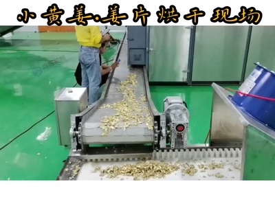 科技賦能傳統農業 果蔬與藥材的智凈烘干之路